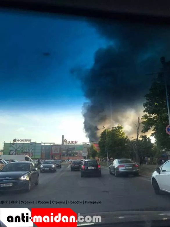 Под Киевом пожар площадью 2,5 га (ФОТО, ВИДЕО) | Русская весна